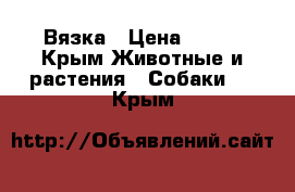 Вязка › Цена ­ 100 - Крым Животные и растения » Собаки   . Крым